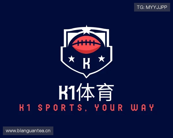 了解K1体育